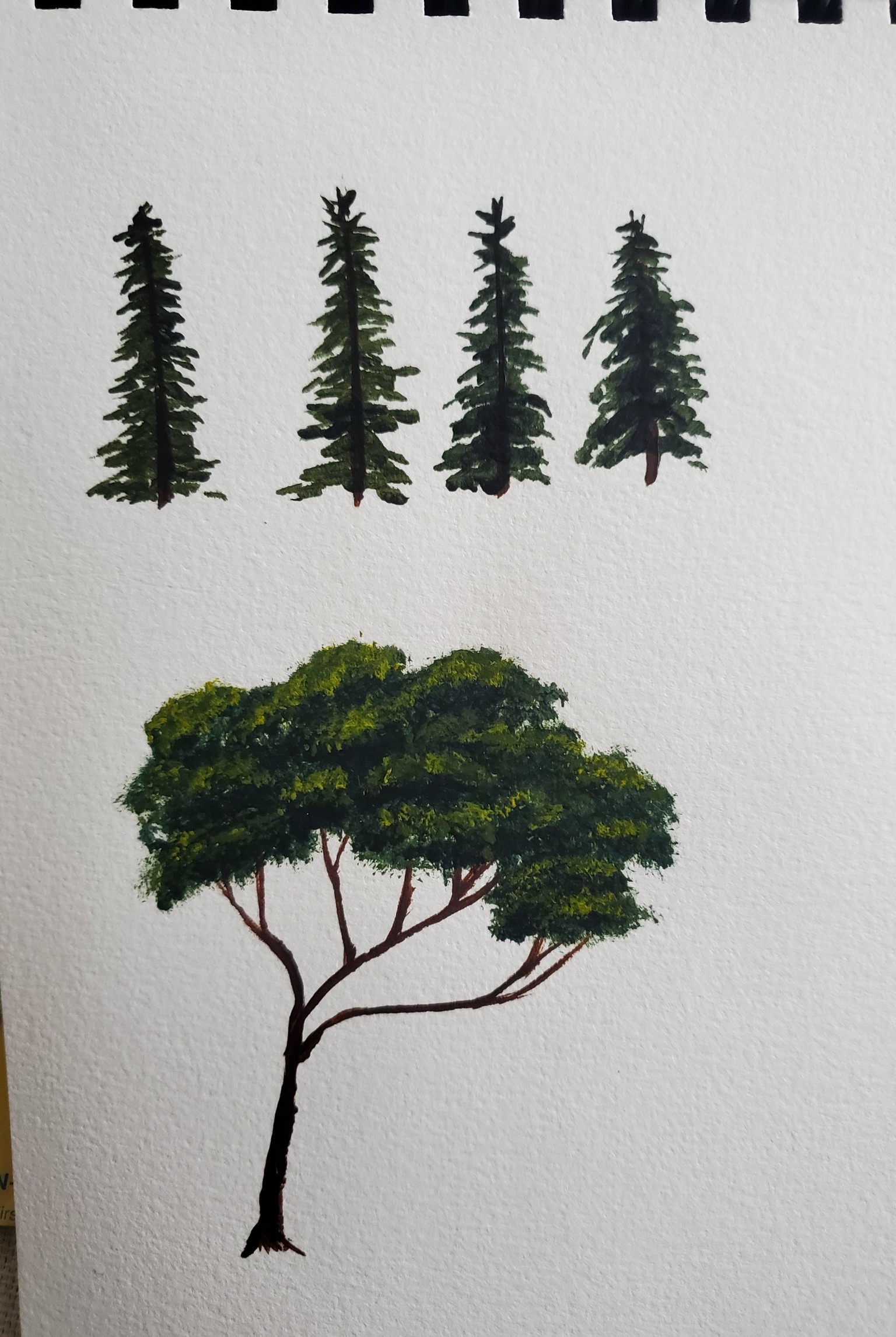 Trees Practice - image 2 - student project