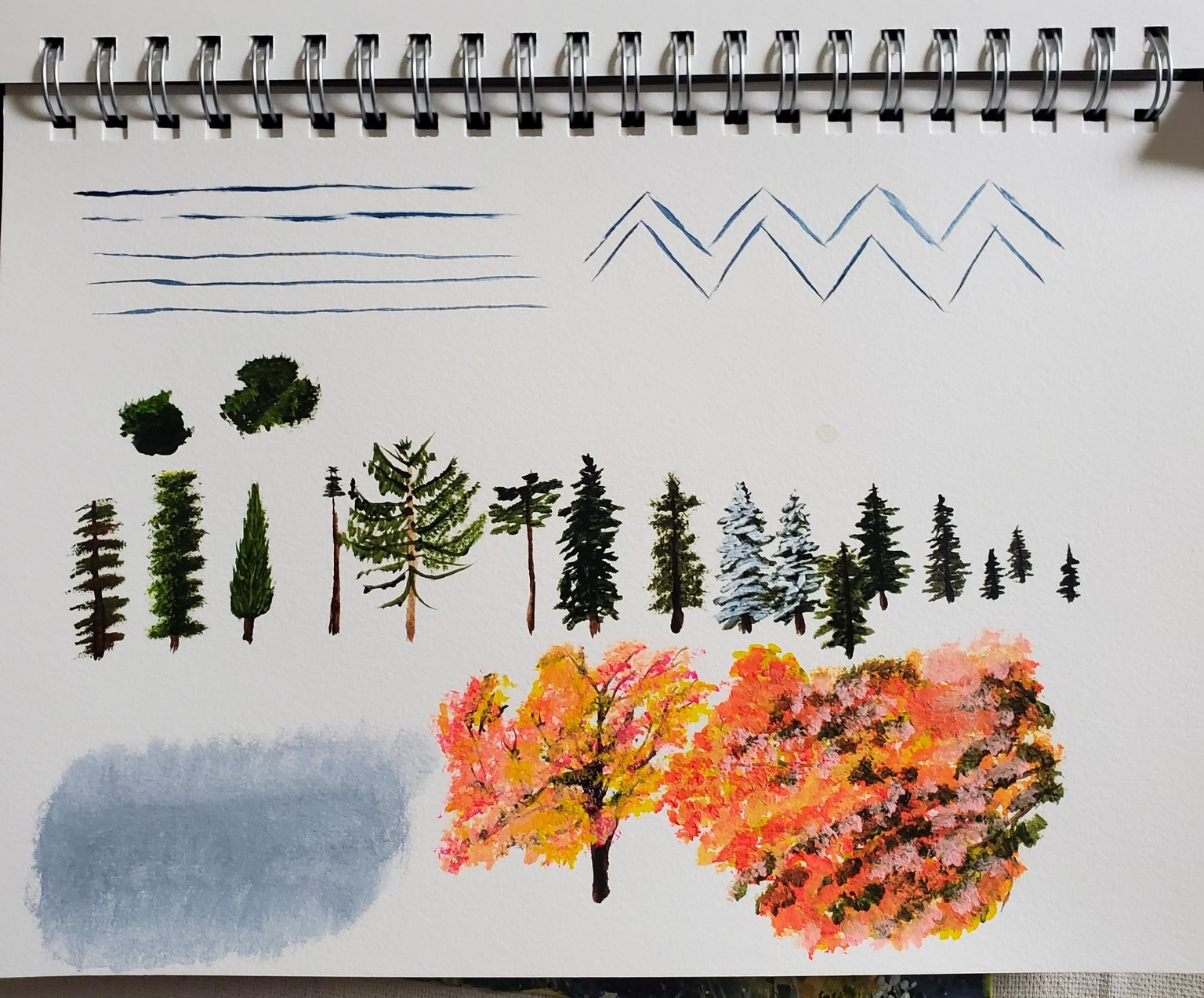 Trees Practice - image 3 - student project