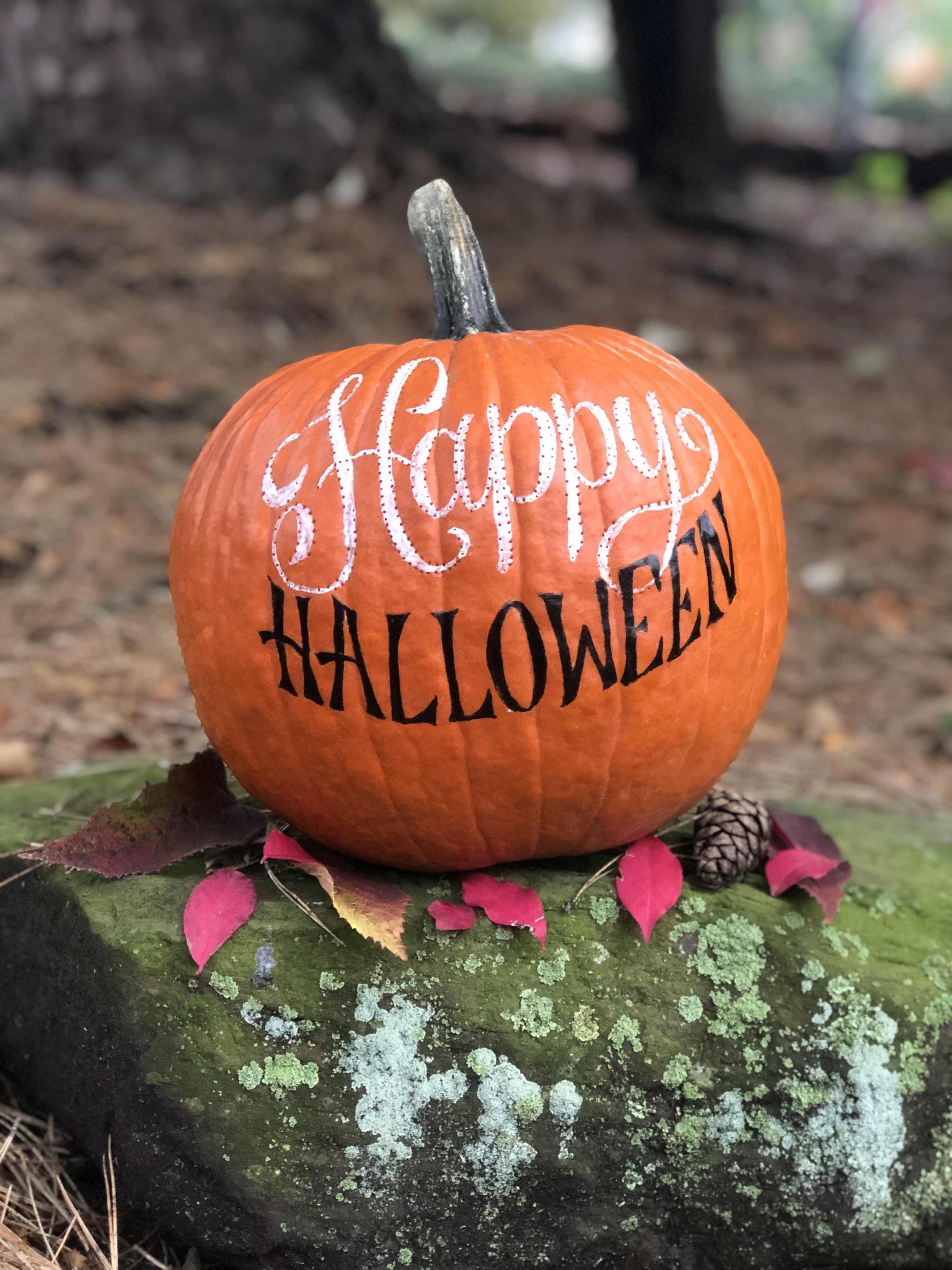 Pumpkin Carving & Painting: Creative Decor Ideas for Fall & Halloween - image 1 - student project