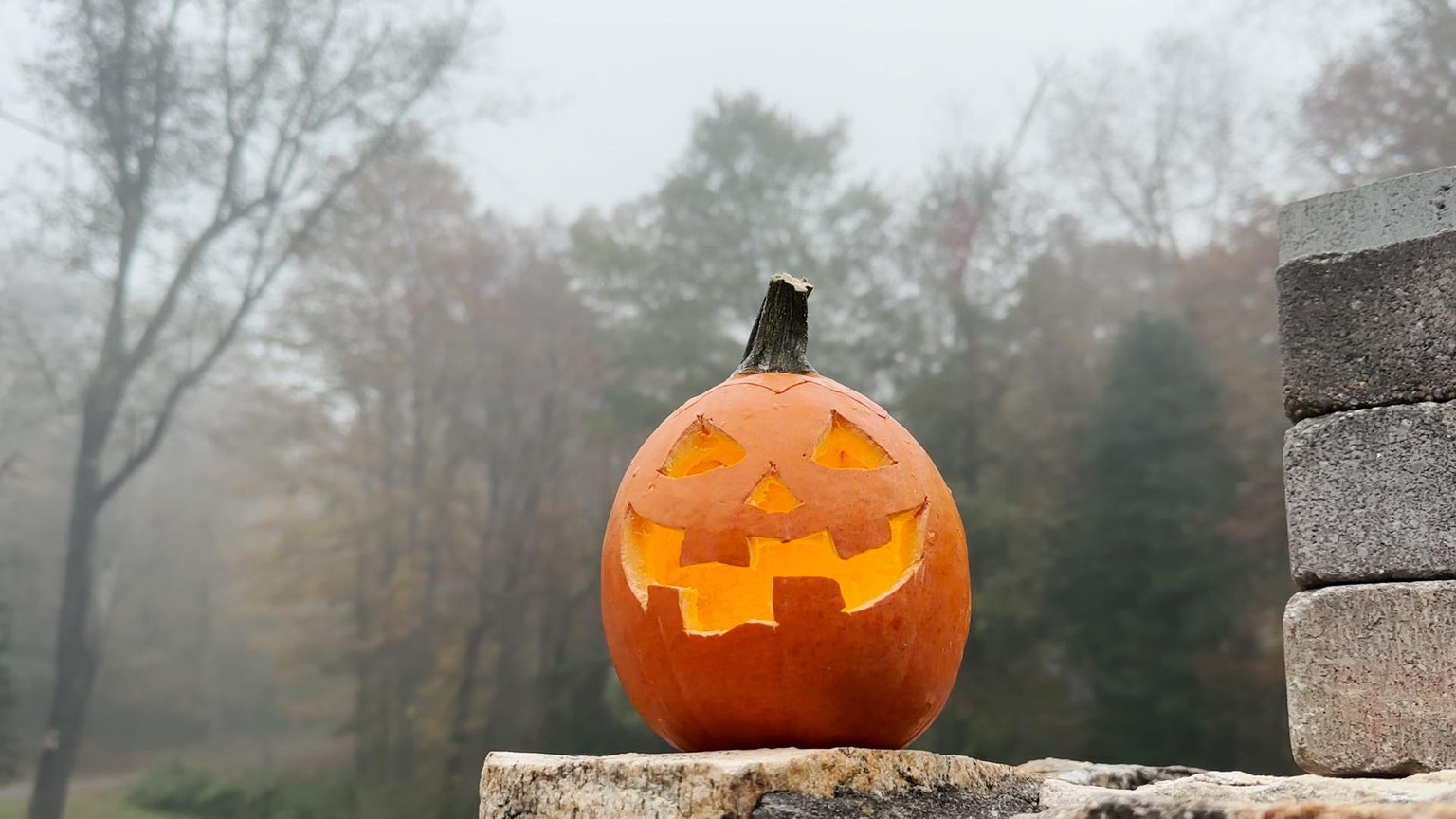 My Pumpkin Project - image 6 - student project