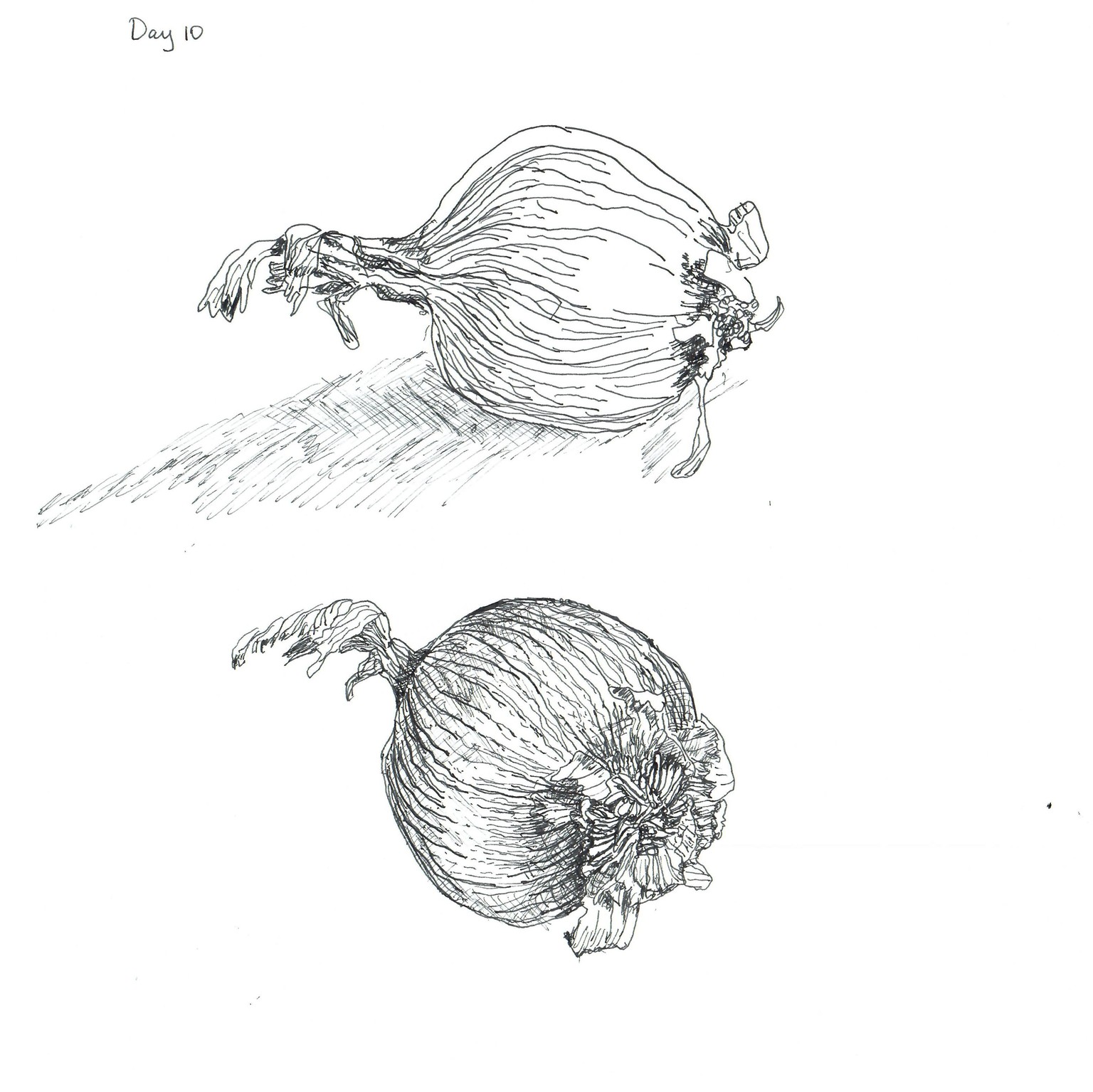 gail's 14 day challenge - image 10 - student project