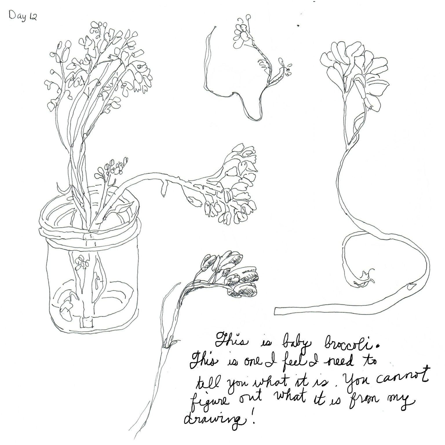 gail's 14 day challenge - image 12 - student project