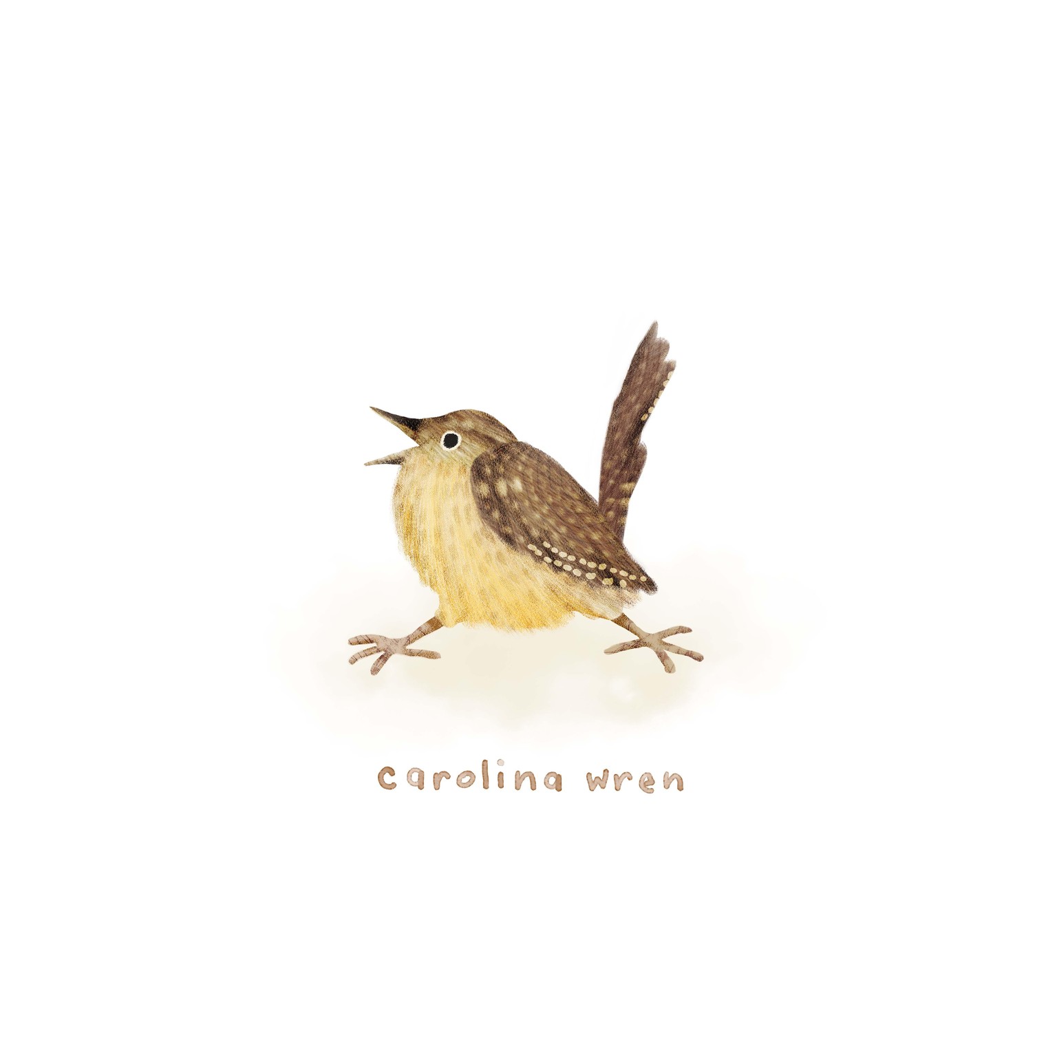 30 days of birds - image 1 - student project