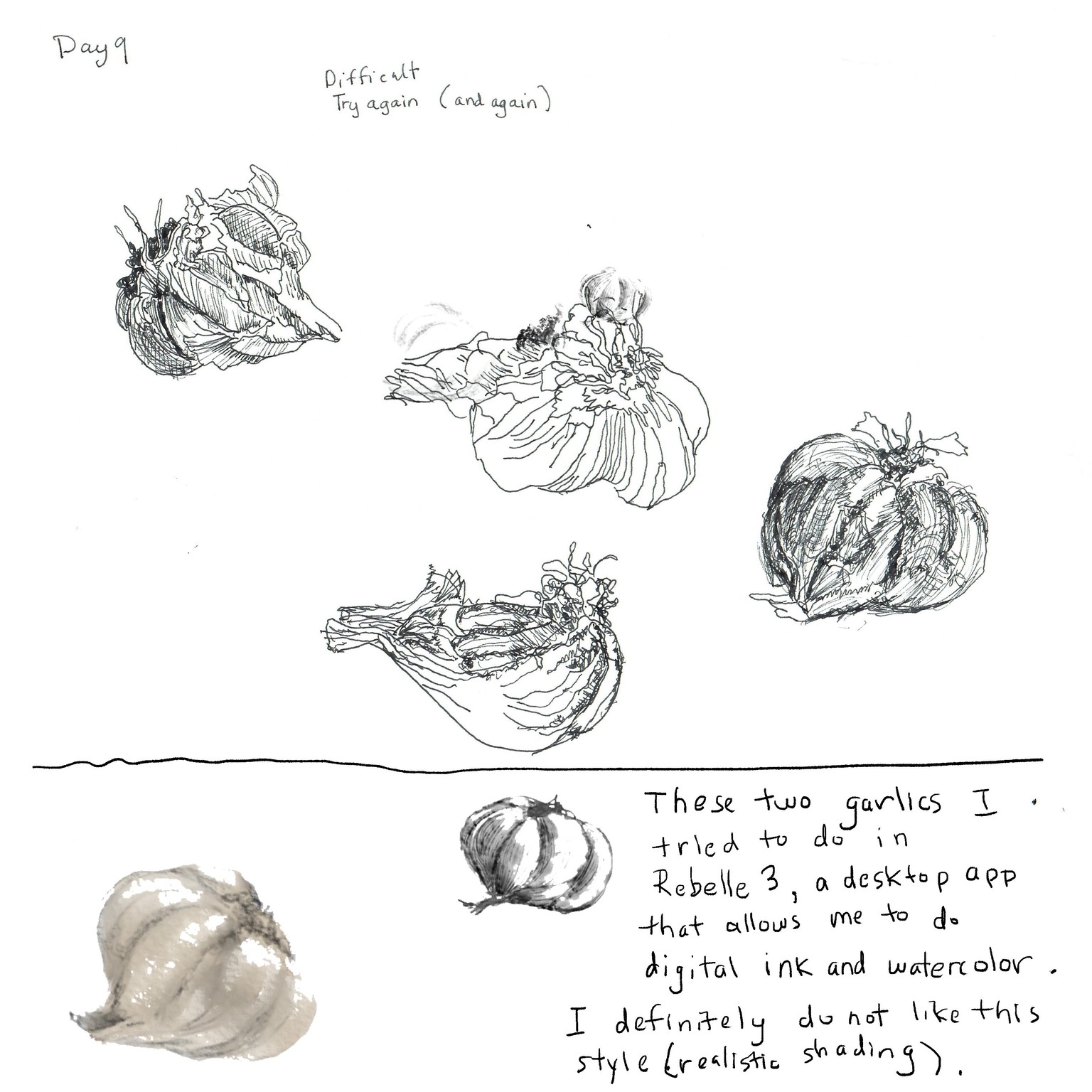 gail's 14 day challenge - image 9 - student project