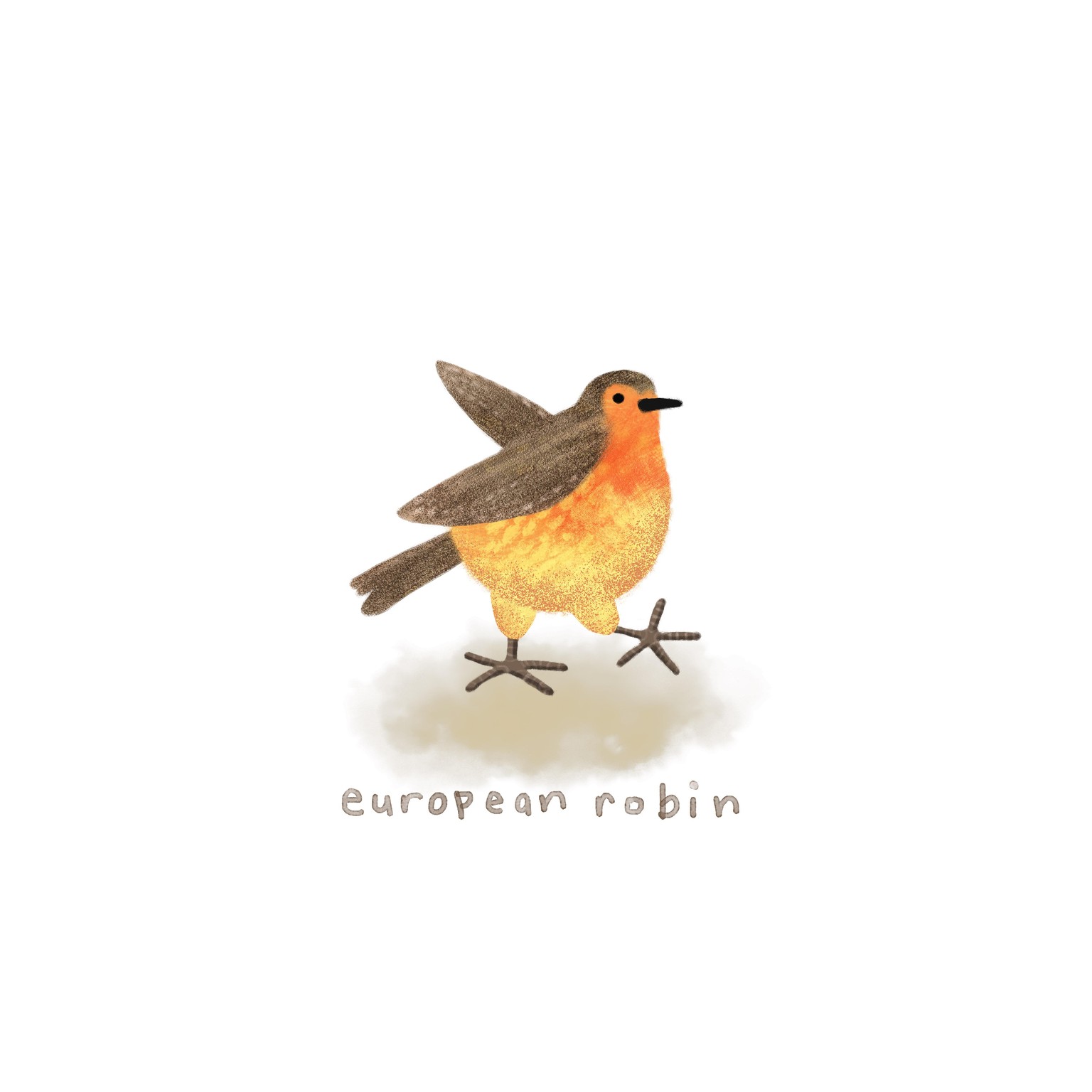 30 days of birds - image 6 - student project