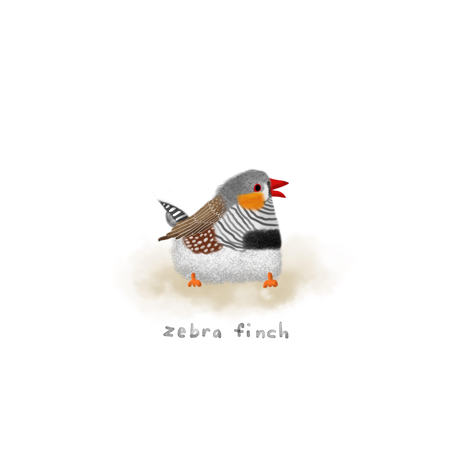 30 days of birds - image 8 - student project