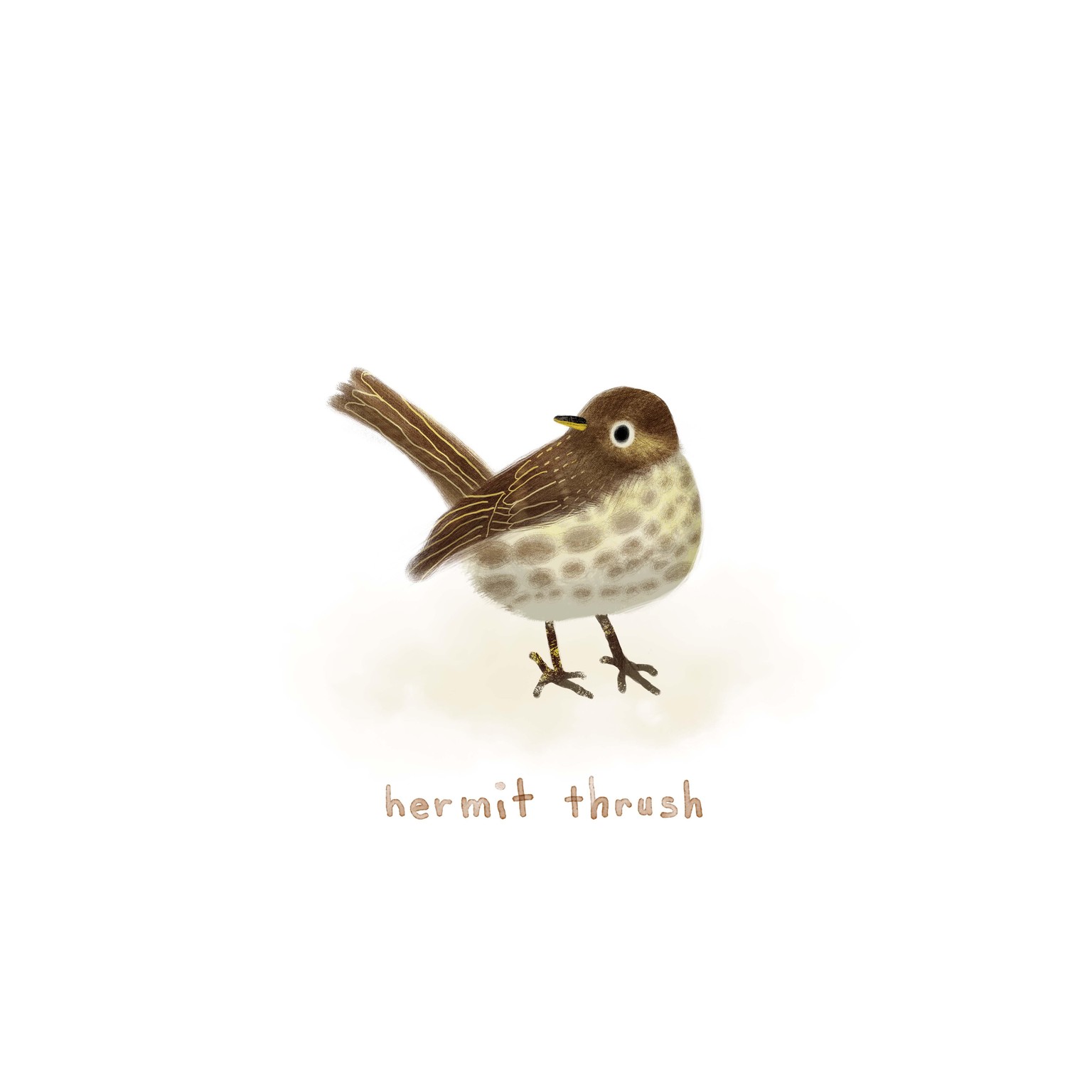 30 days of birds - image 4 - student project