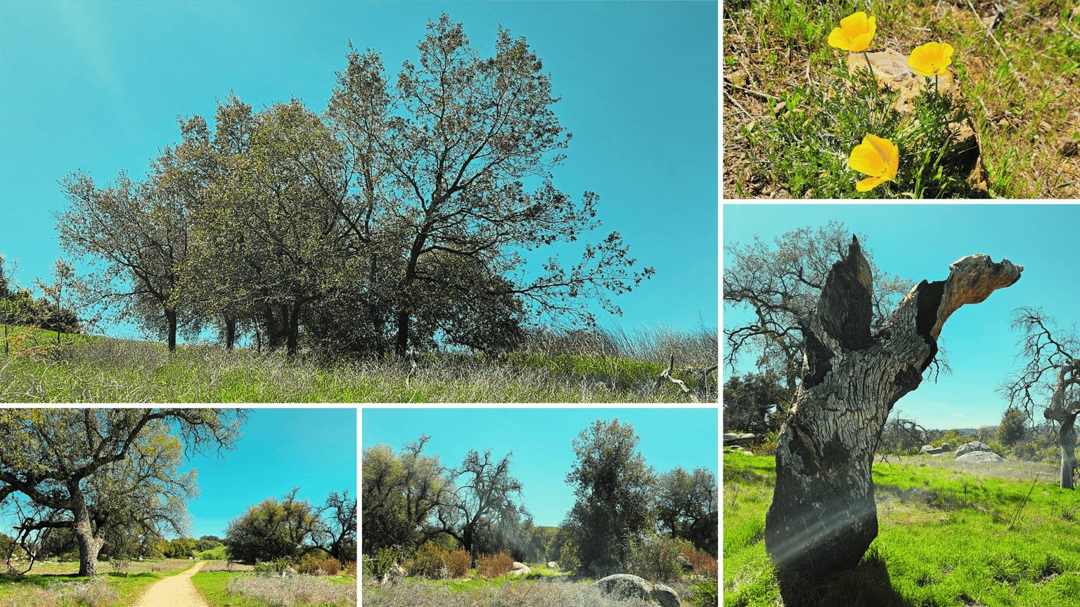A Day Exploring A More Mindful Art Practice - image 1 - student project