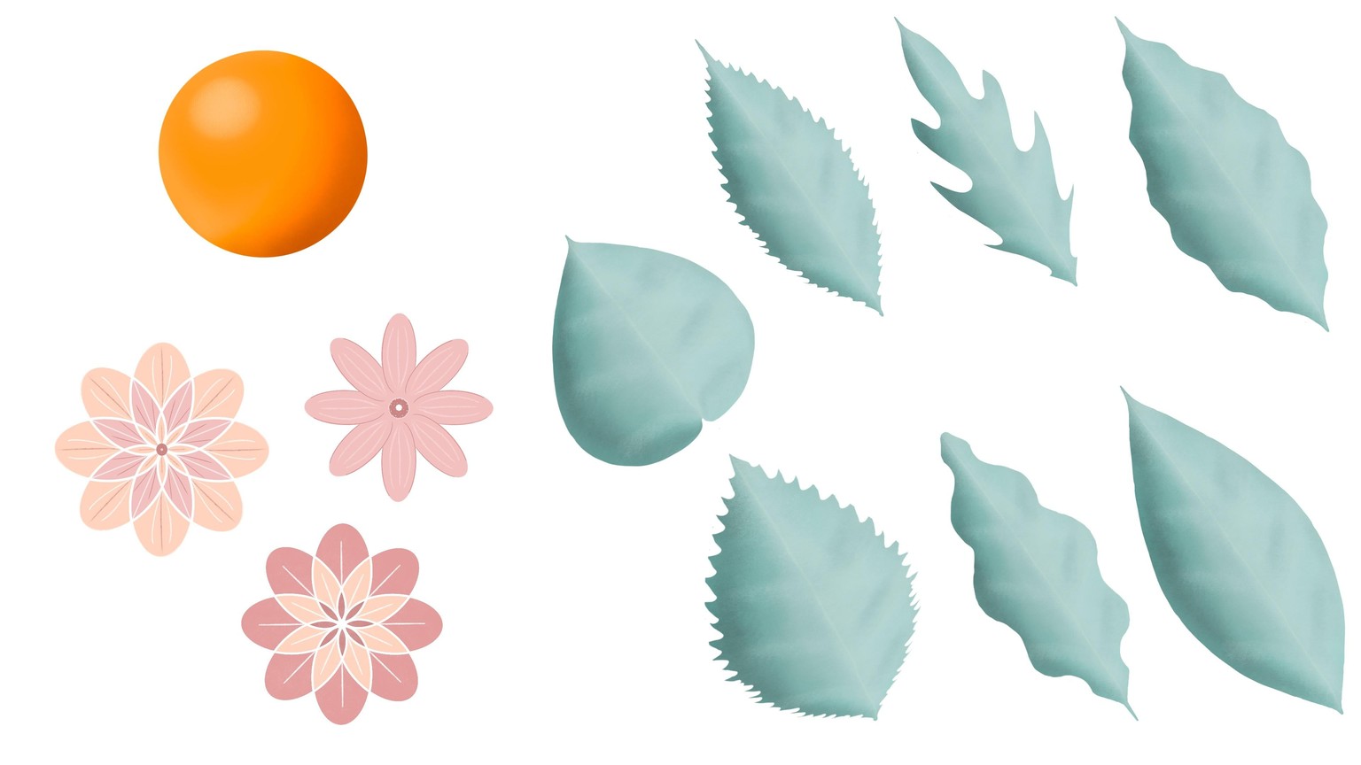 Flowers and Fruit - image 1 - student project