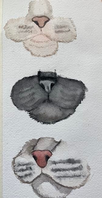 Cat Noses - image 1 - student project