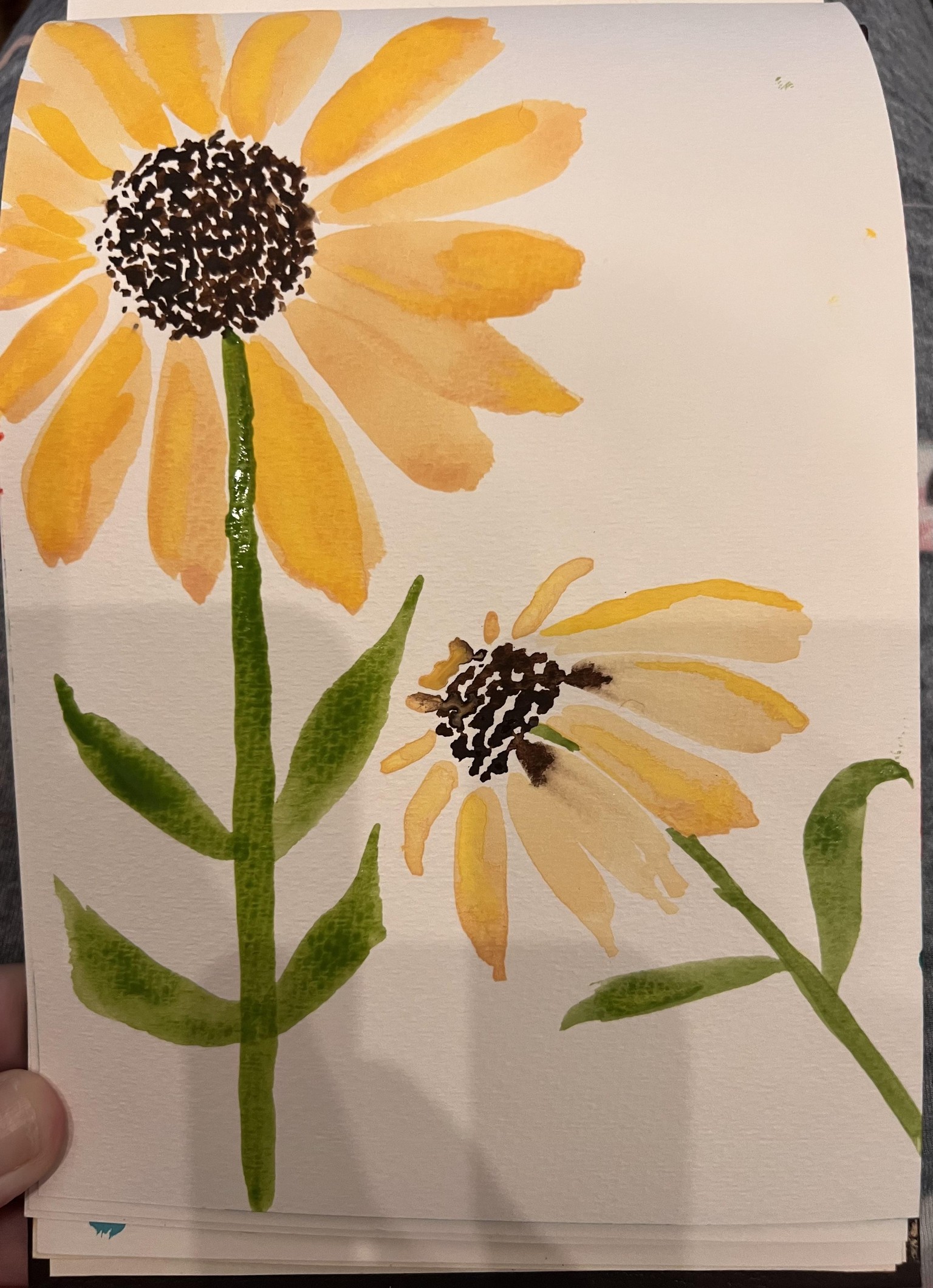 Black Eyed Susans Project - image 1 - student project
