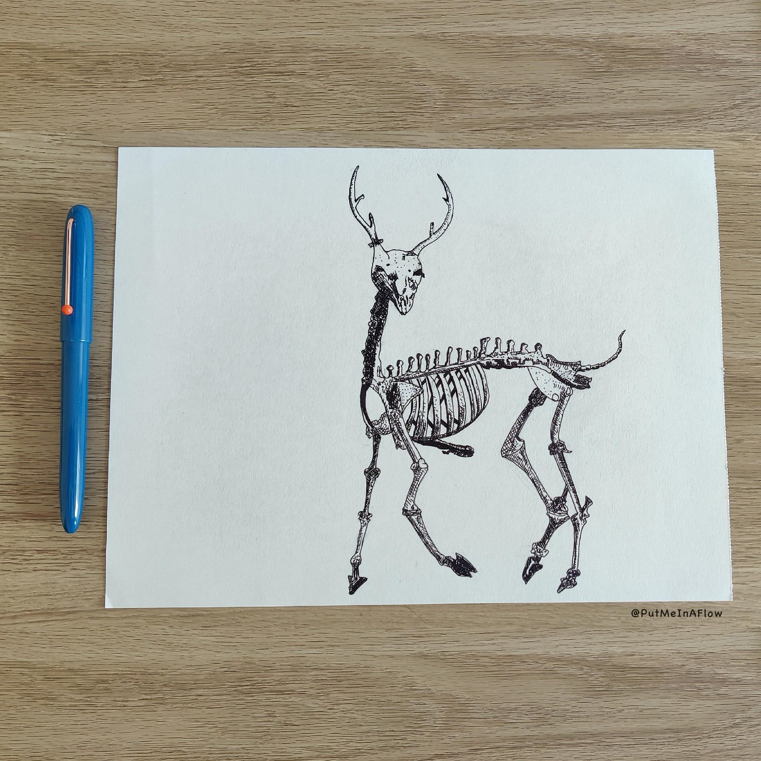 Oh deer!! - image 1 - student project