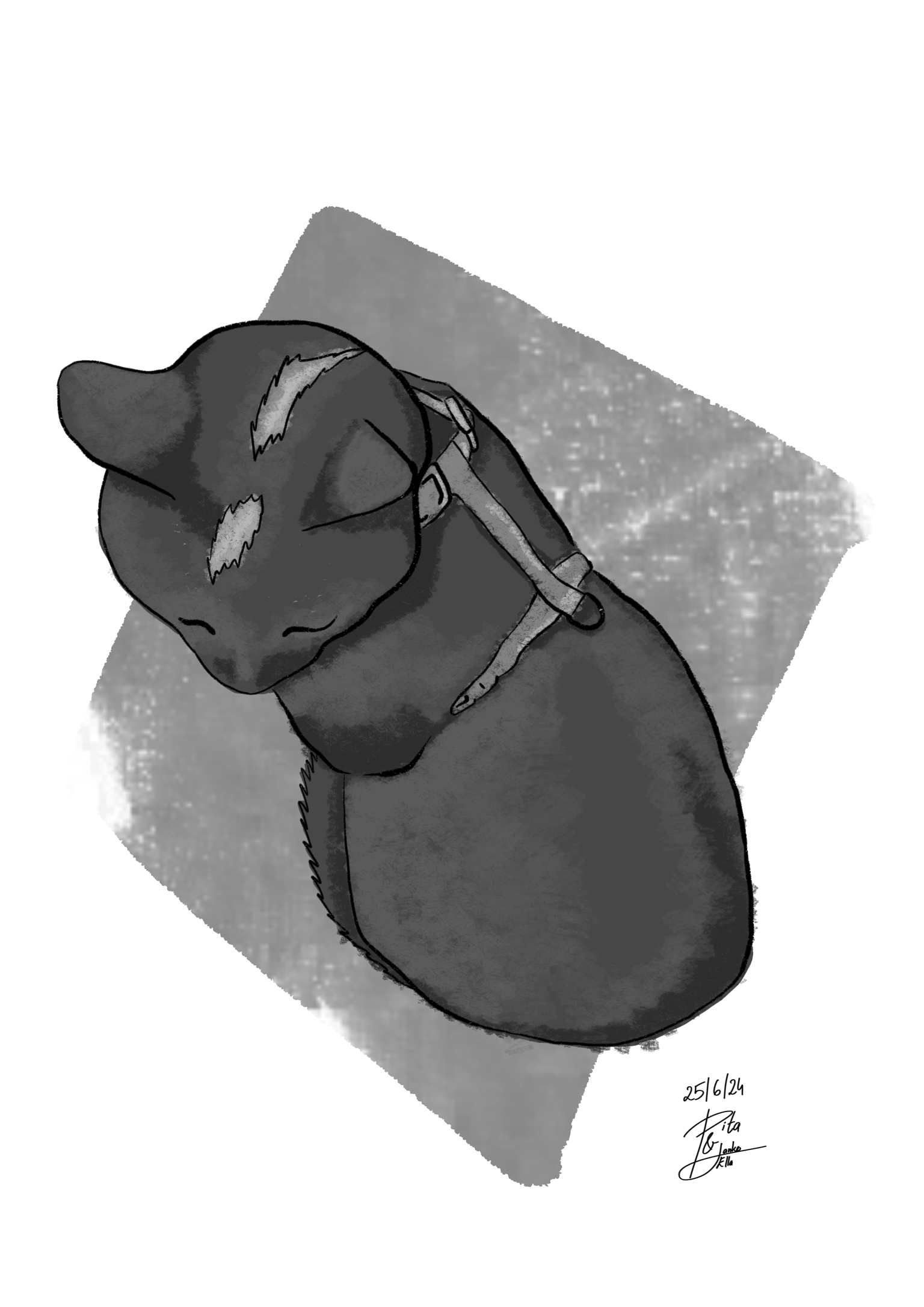 My lovely catto - image 1 - student project