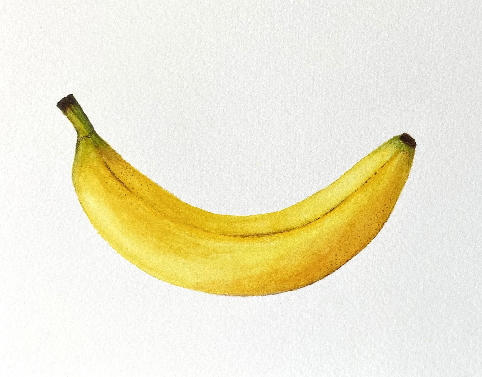 Fruit - image 1 - student project