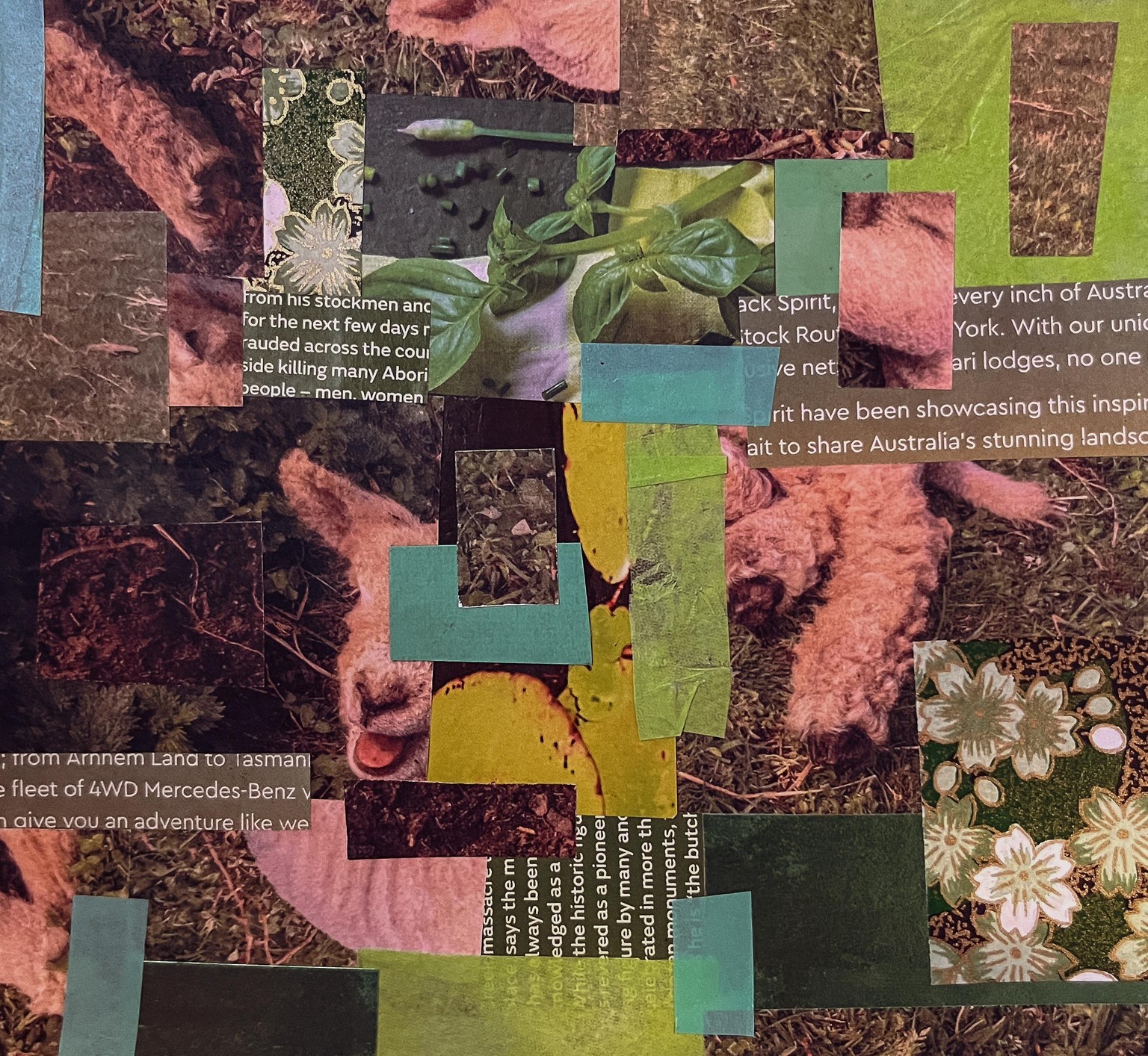 Collage Activities - image 10 - student project
