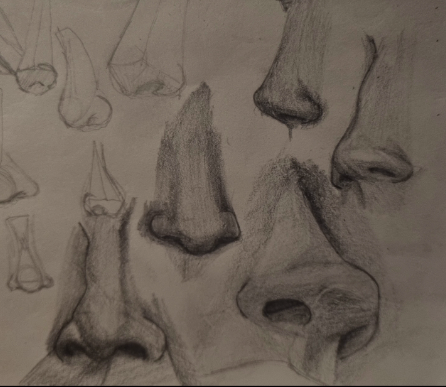 Noses - image 1 - student project