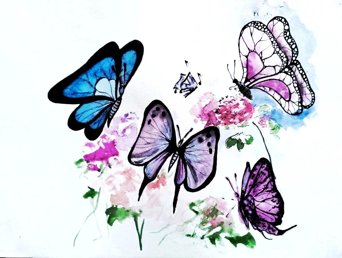 Butterfly - image 1 - student project