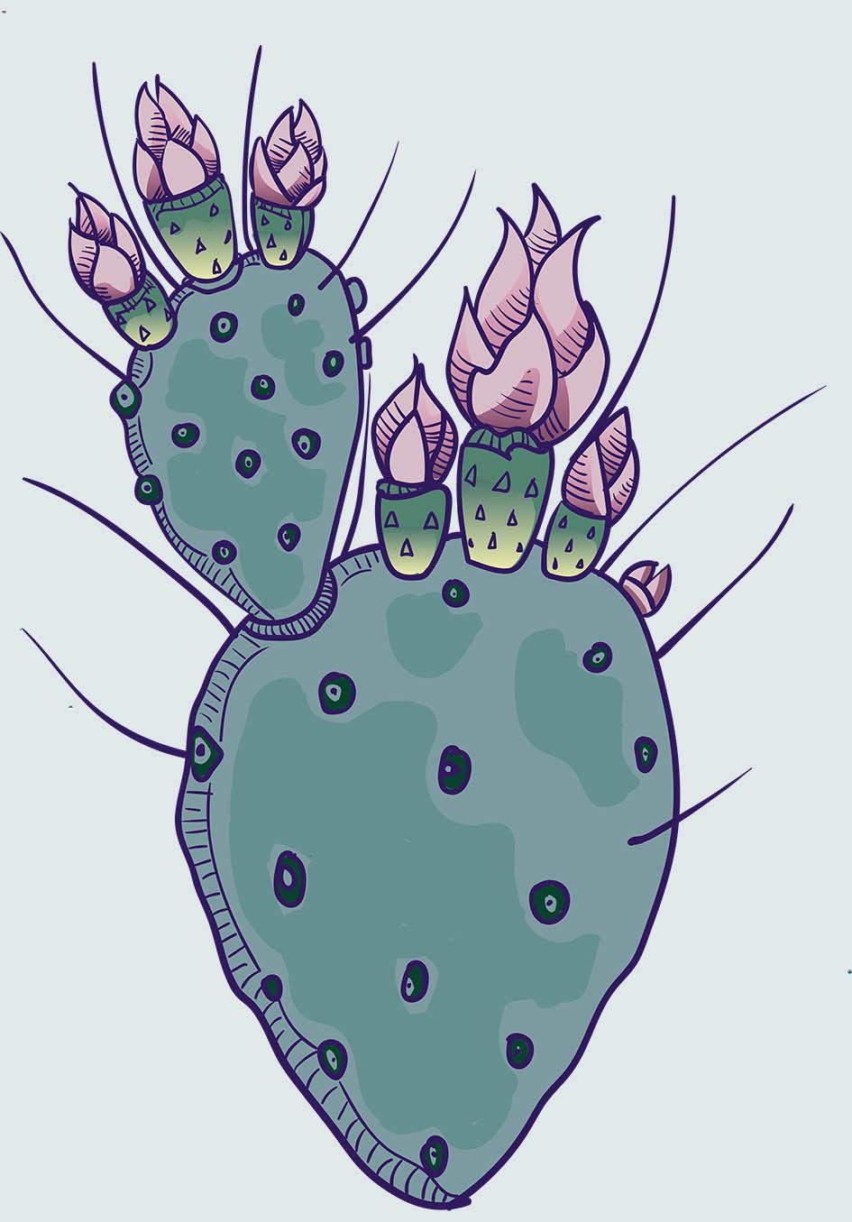 cactus - image 1 - student project