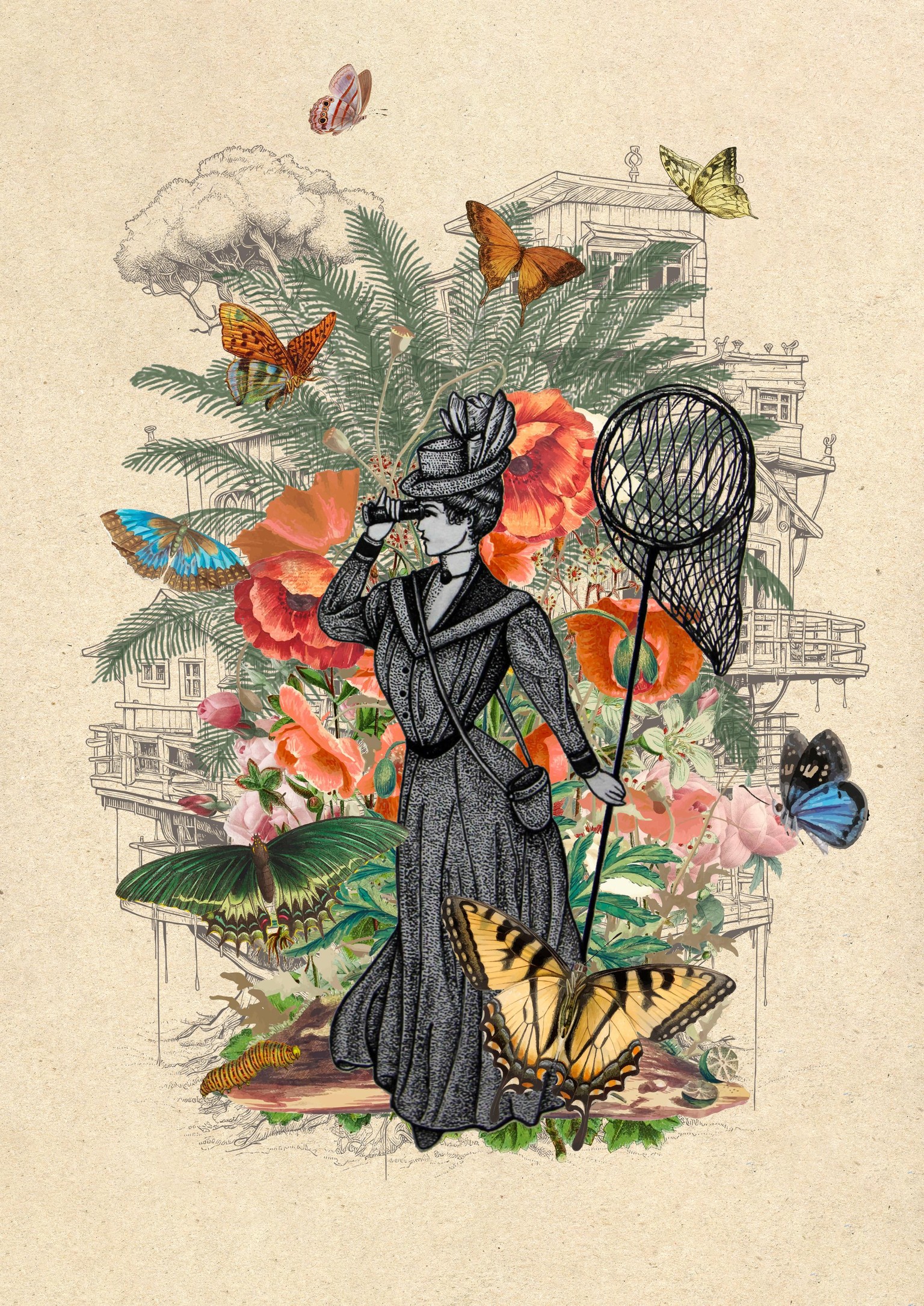 Lepidopterist - image 1 - student project