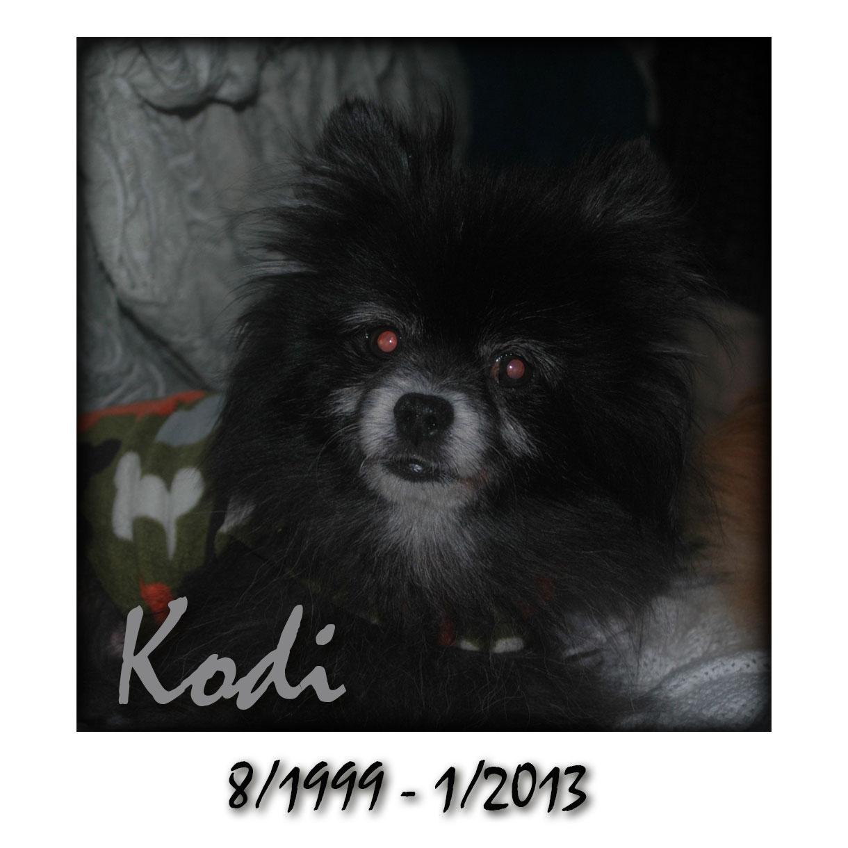 That is my Lilly. A picture of her when she was young. - image 2 - student project