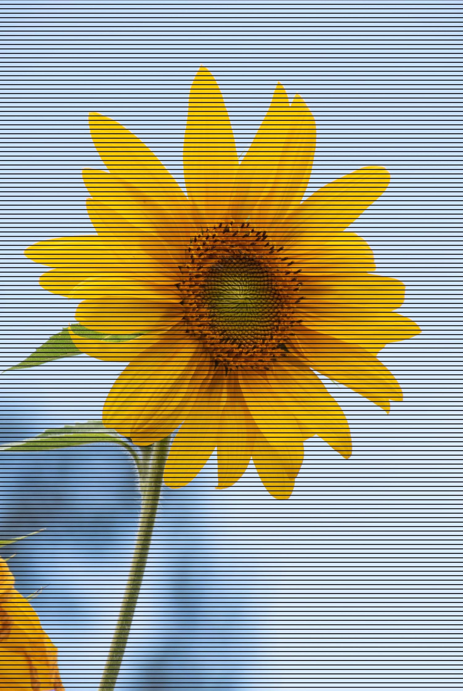 Grids, circles, and other fun. - image 2 - student project