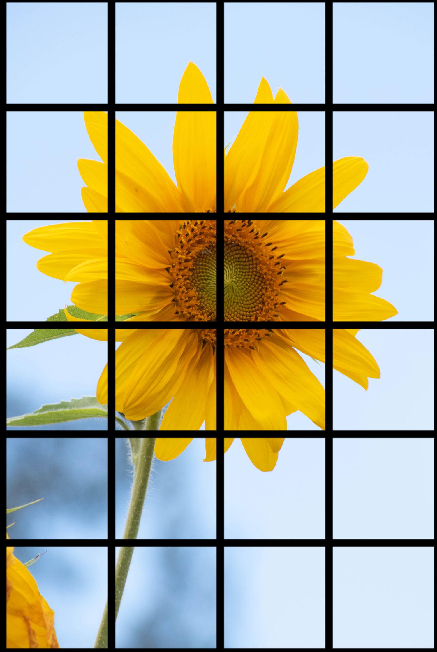Grids, circles, and other fun. - image 3 - student project