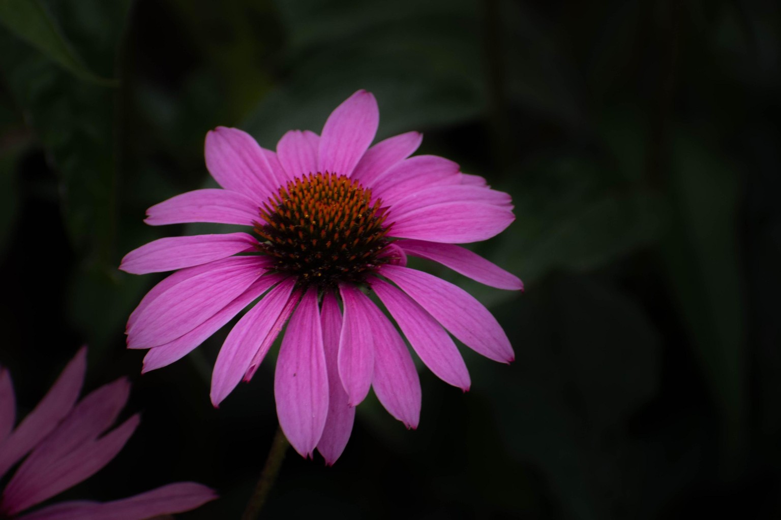 Called this preset 'Darken and Brighten' - image 3 - student project