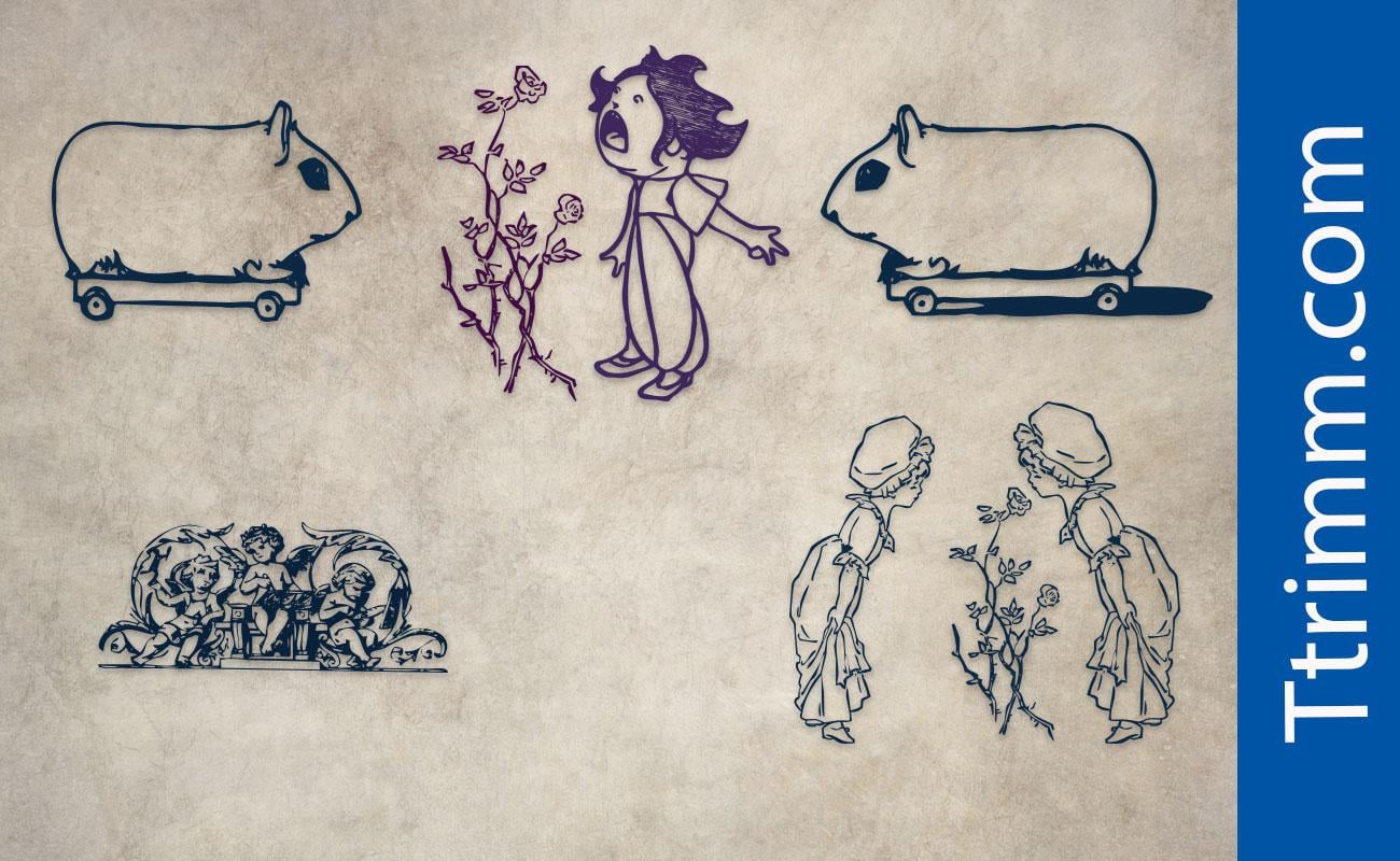 Shapes from ttrimm - image 1 - student project