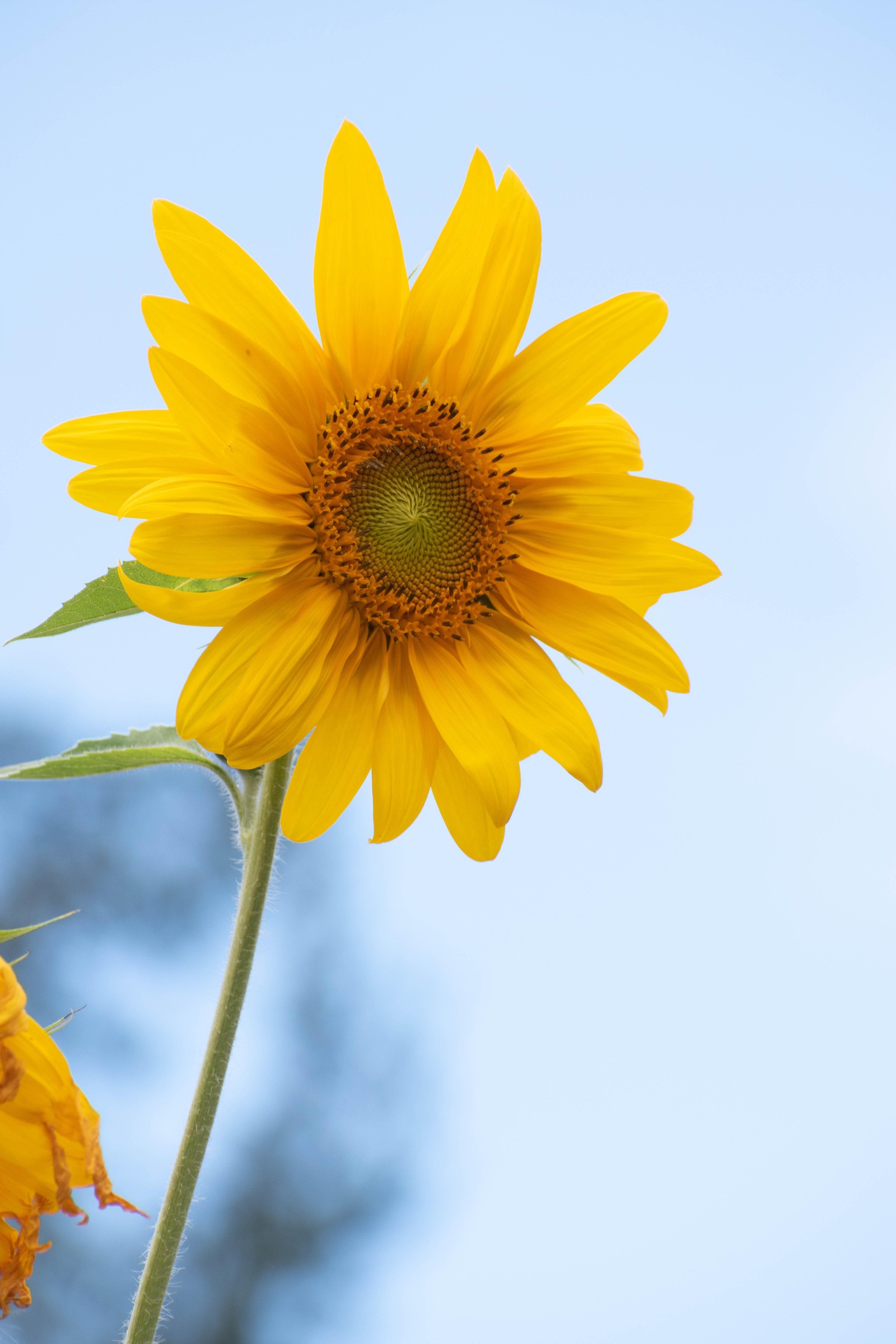 Called this preset 'Darken and Brighten' - image 2 - student project