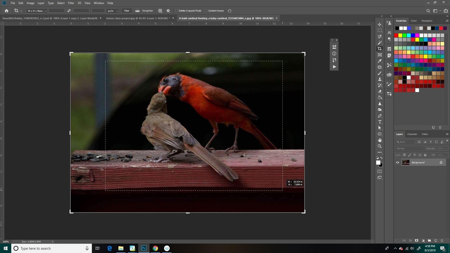 I would say the ability to freely move the selection was WOW! - image 1 - student project