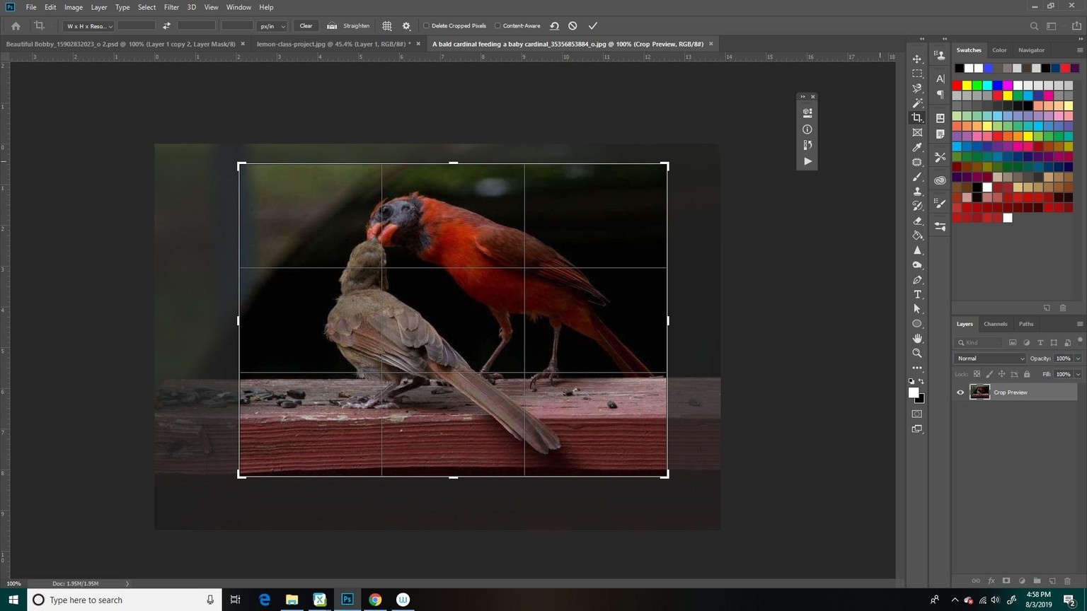 I would say the ability to freely move the selection was WOW! - image 2 - student project