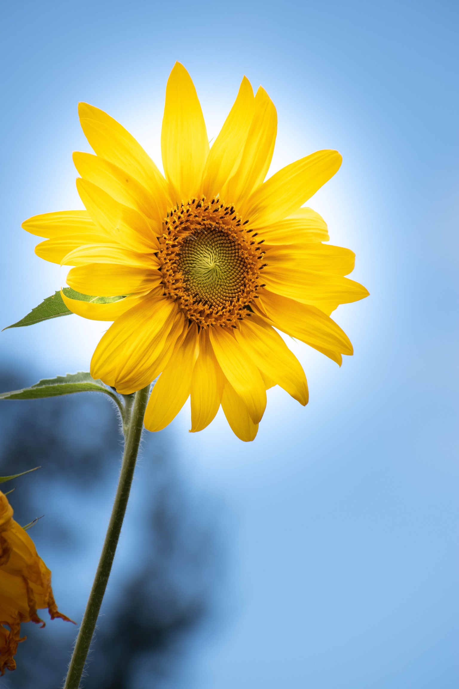 Called this preset 'Darken and Brighten' - image 1 - student project