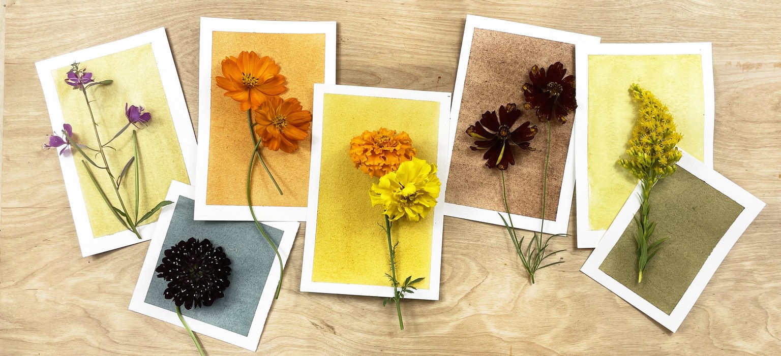 Flower Watercolor Paints - image 1 - student project