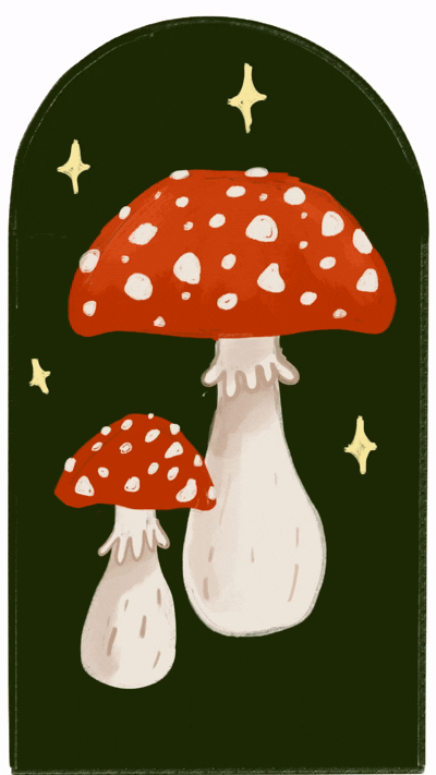 Mushroom project - image 1 - student project