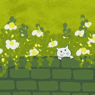 cat - image 1 - student project