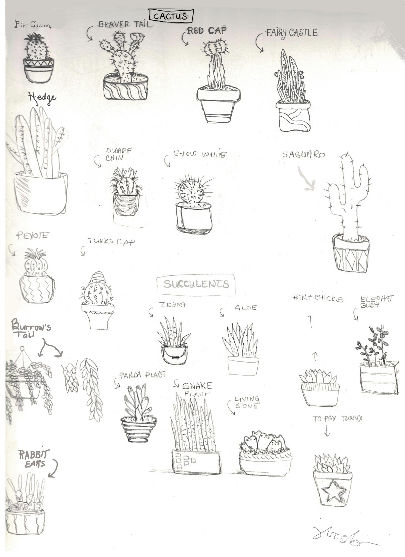 Wild West Cactus Town - image 2 - student project