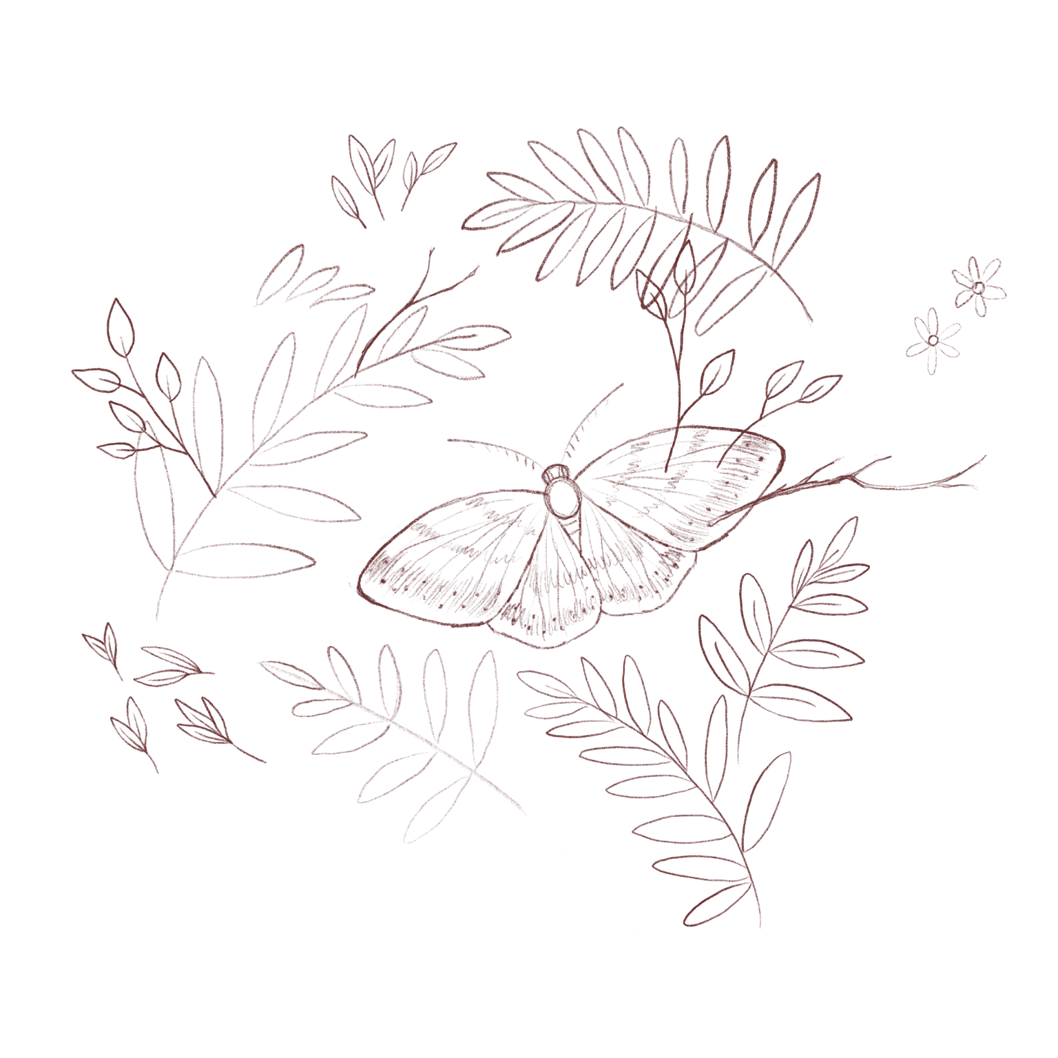 Moth Magic - image 1 - student project