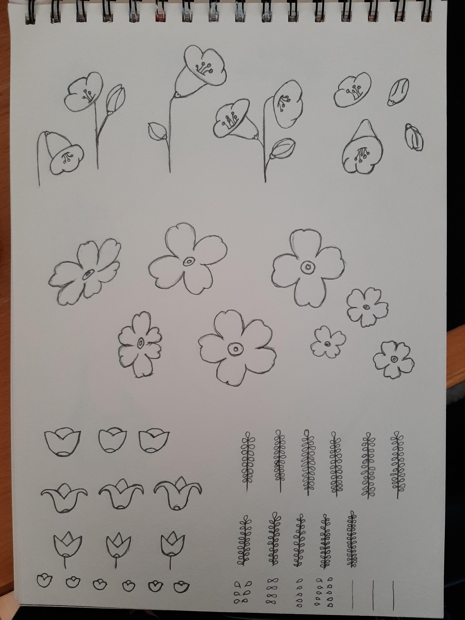 Spring flowers - image 1 - student project