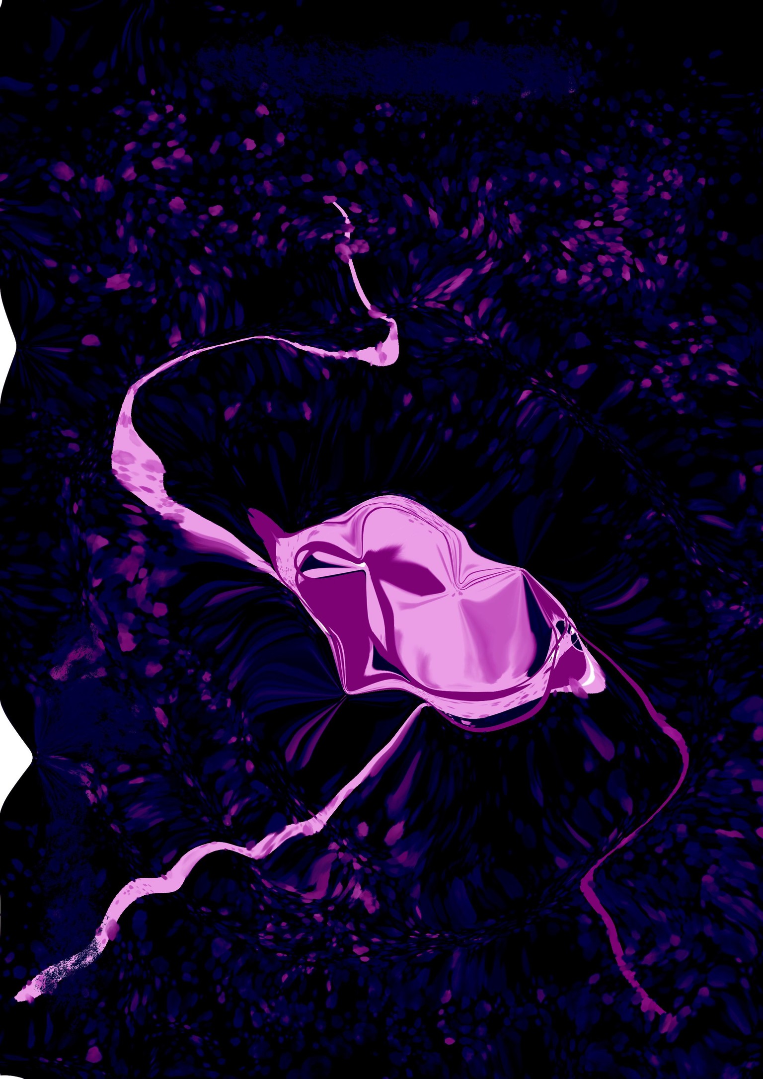 Graphic Design Covers - image 1 - student project