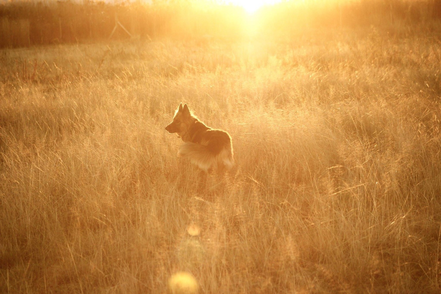 An afternoon in the field - image 1 - student project