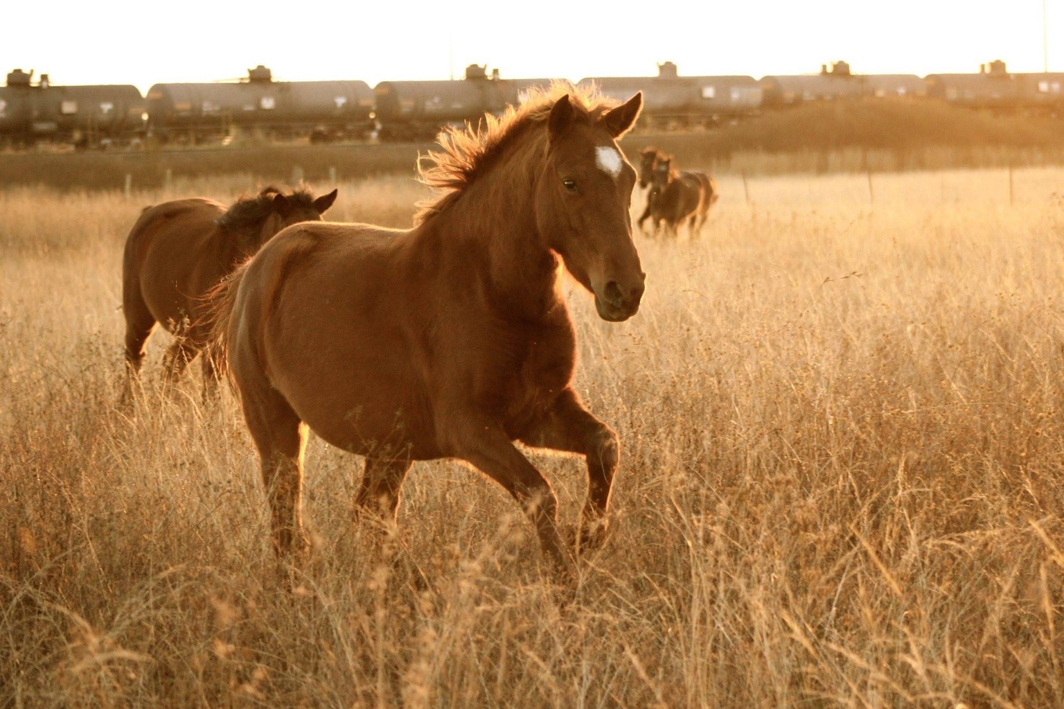 An afternoon in the field - image 3 - student project