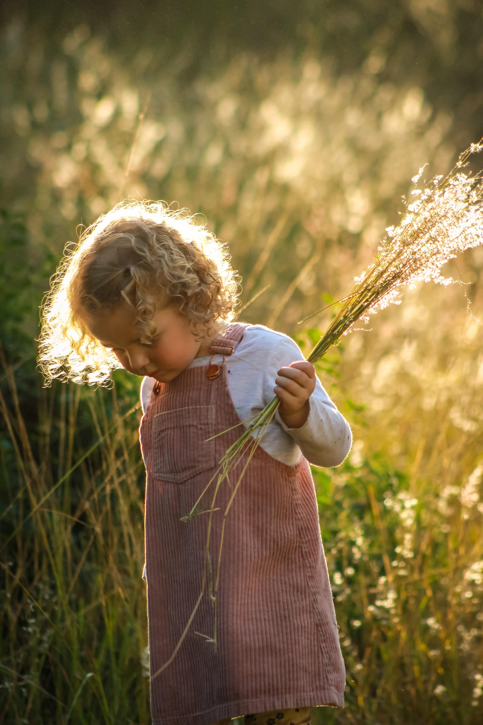 Little girl picking flowers - image 2 - student project