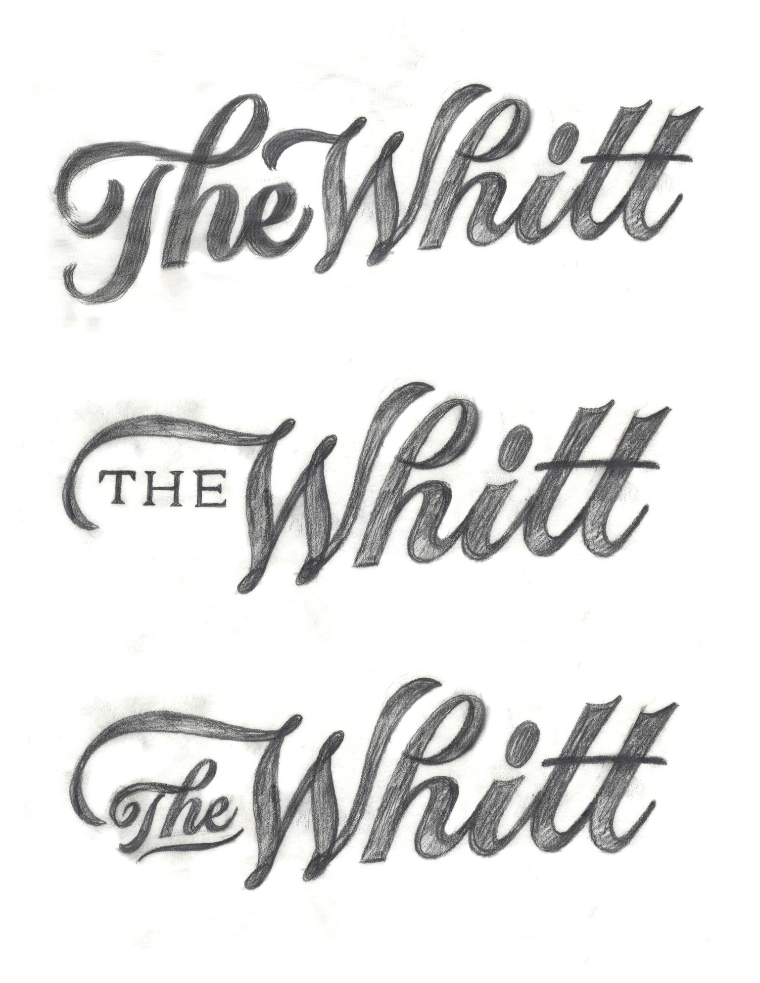 The Whitt Logotype - image 27 - student project