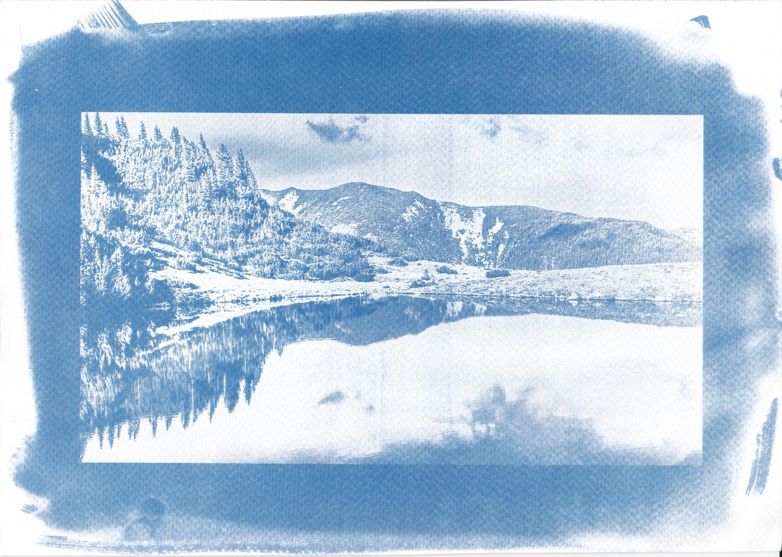 Cyanotype - image 1 - student project