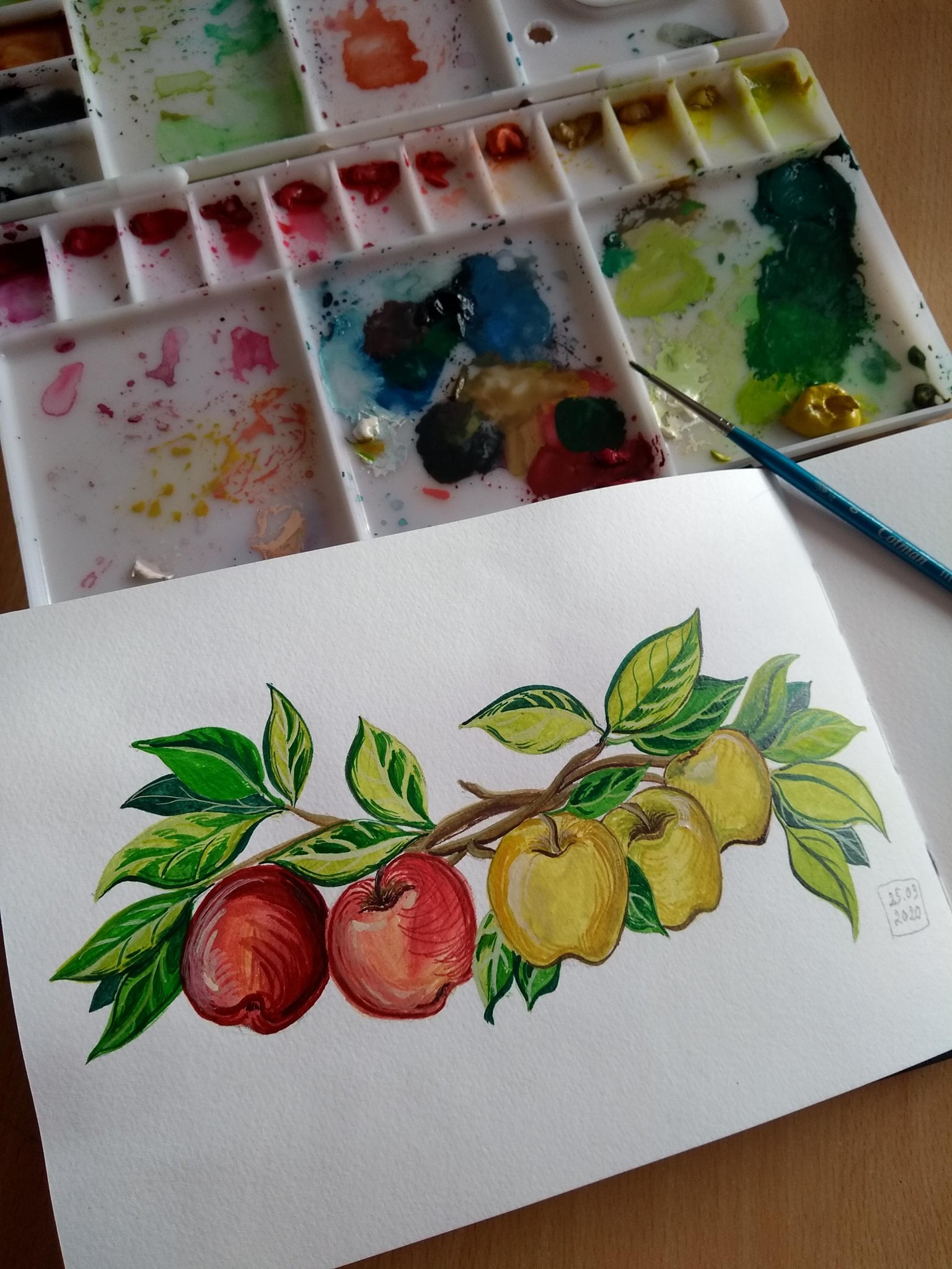 Gouache Apples - image 3 - student project