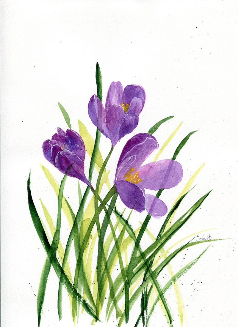 Spring Flowers in Light and Shadow - image 2 - student project