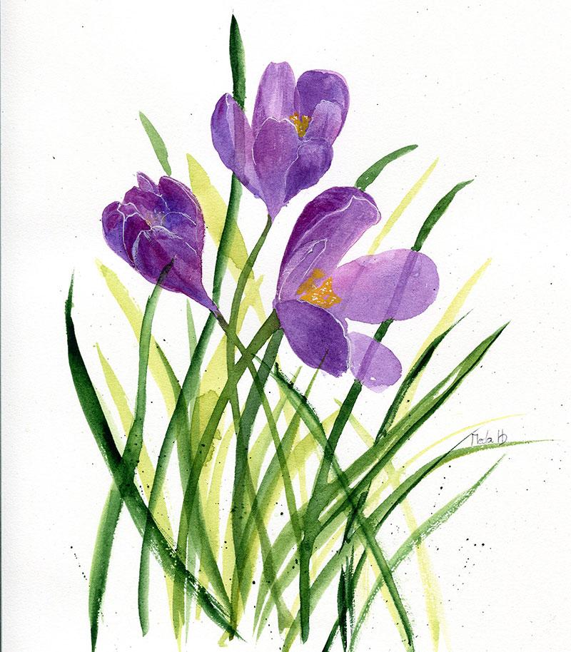 Spring Flowers in Light and Shadow - image 1 - student project