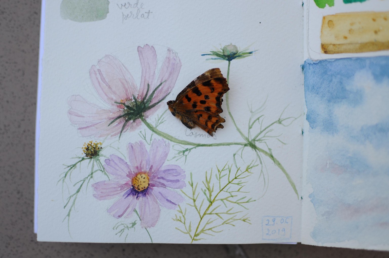 Love Working in a Sketchbook - image 6 - student project