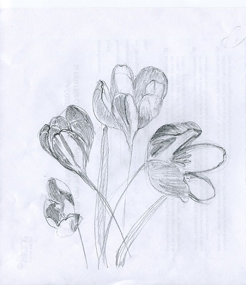 Spring Flowers in Light and Shadow - image 3 - student project