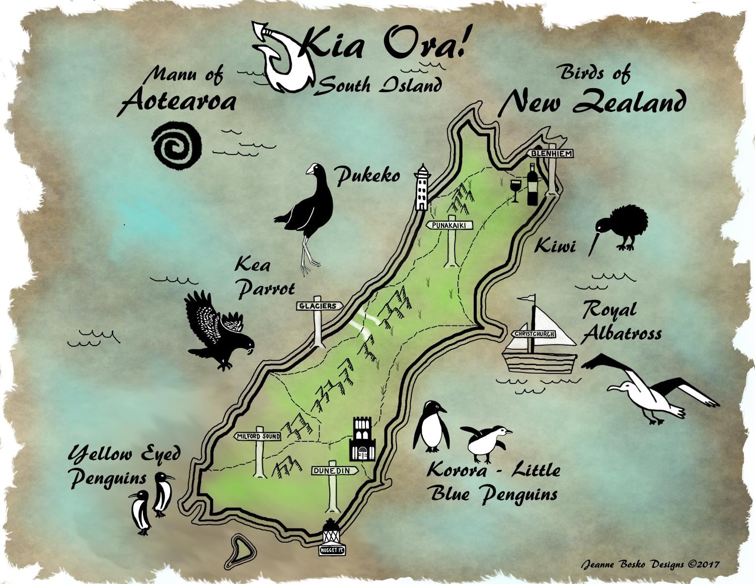Birds of New Zealand - image 1 - student project